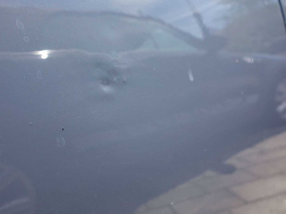 Honda Civic 1.0 Executive Prem m Spoiler u. Zahnriemen neu