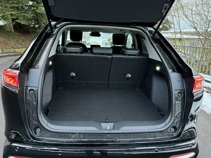 Honda e:Ny1 Basis|1.Hand|Garantie|SuperZustand|Navi... Advance Paket