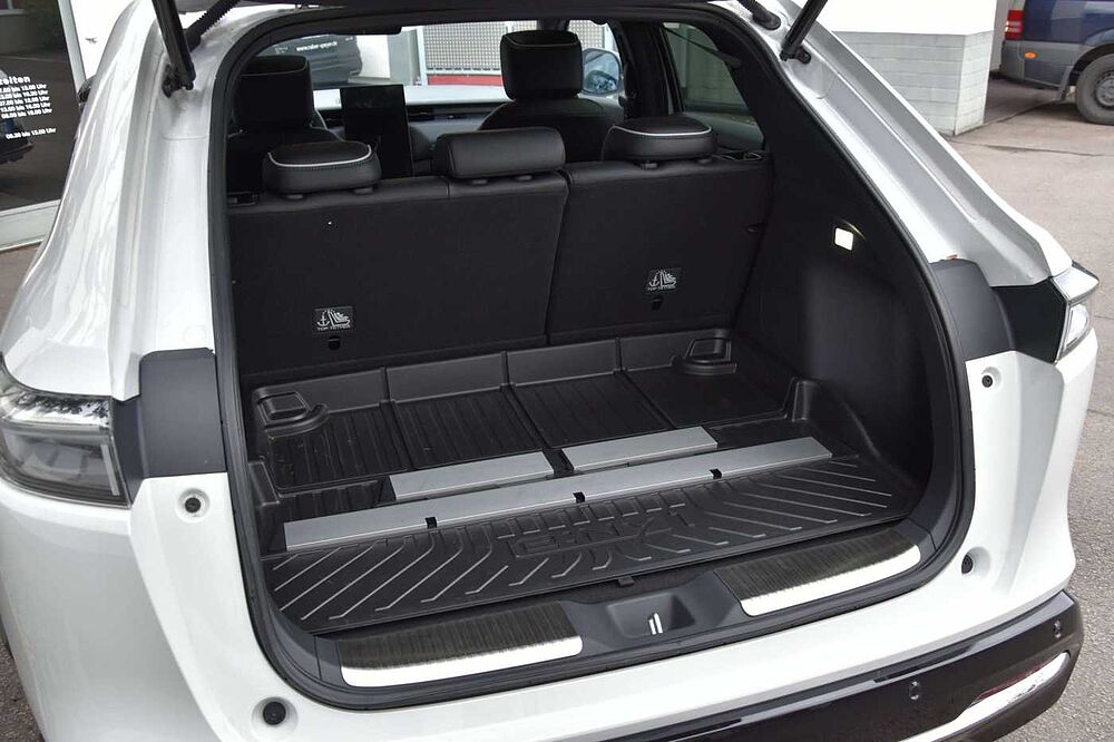 Honda e: Ny1 e: Ny1 Advance-Paket*Illuminations-Paket*