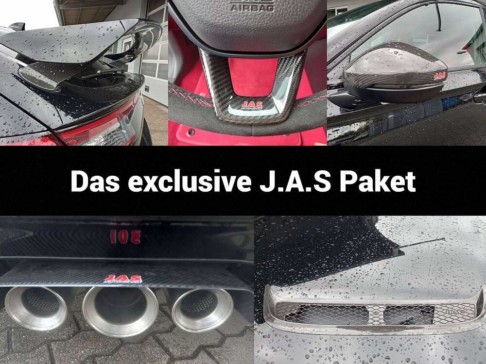 Honda Civic Type R *J. A.S. EDITION PAKET*
